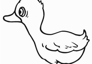 Eric Carle Yellow Duck Coloring Page Yellow Duck Coloring Page Netart