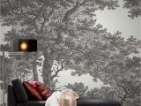 Etched Arcadia Wall Mural Tree Wallpaper Black and White Wallpaper Passepartout