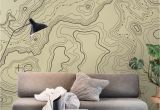 Examples Of Wall Murals topographical Map Wall Mural Wallpaper Maps