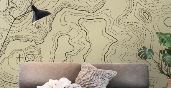 Examples Of Wall Murals topographical Map Wall Mural Wallpaper Maps