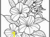 Exotic Flower Coloring Pages 23 Best Glass Paint Images
