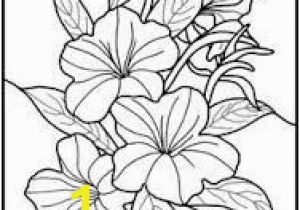 Exotic Flower Coloring Pages 23 Best Glass Paint Images