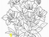 Exotic Flower Coloring Pages 426 Best Coloring Pages to Print Flowers Images On Pinterest In