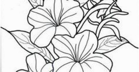 Exotic Flower Coloring Pages 46 Best Flowers and Plants Images On Pinterest