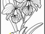 Exotic Flower Coloring Pages 615 Best Z Coloring Flowers butterflies Dragonflies & Etc