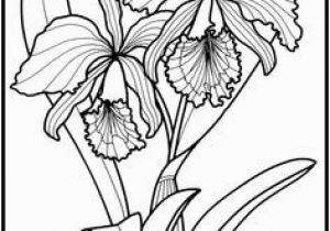 Exotic Flower Coloring Pages 615 Best Z Coloring Flowers butterflies Dragonflies & Etc