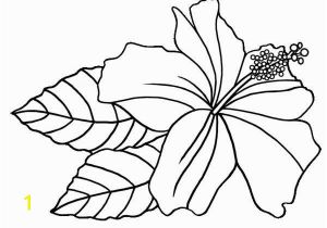 Exotic Flower Coloring Pages Hibiscus Flower Hawaiin Hibiscus Flower Coloring Page