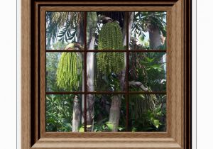 Fake Window Wall Mural Fake Window View Tropical Trees Mural Wall Mural Wall