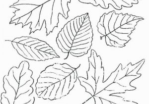 Fall Leaves Clip Art Coloring Pages Printable Fall Leaves Coloring Pages Fall Leaves Coloring Pages Best