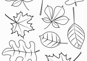 Fall Leaves Coloring Pages Printable Fall Coloring Pages for Young Children Free Instant Download