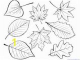 Fall Leaves Coloring Pages Printable Fall Leaves and Trees Coloring Printables