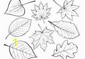Fall Leaves Coloring Pages Printable Fall Leaves and Trees Coloring Printables