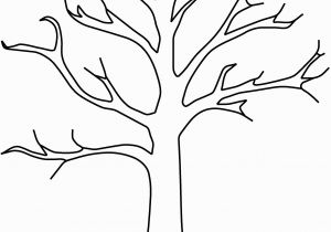 Fall Tree Coloring Page Tree Printable Elitasushi