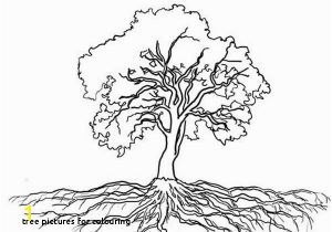 Family Tree Coloring Page for Kids Tree for Colouring Colouring Family C3 82 C2 A0 0d Free