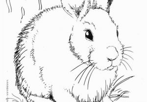 Farm Animal Coloring Pages for Adults 17 Best Images About Adult Coloring Pages Farm Animals On