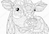 Farm Animal Coloring Pages for Adults Adult Coloring Page Cow Zen Art Style Illustration