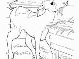 Farm Animal Coloring Pages for Adults Cow Coloring Page Calf In the Barn Eating Hay