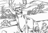 Farm Animal Coloring Pages for Adults Farm Coloring Pages for Adults at Getdrawings