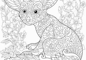 Fennec Fox Coloring Page Coloring Page Fennec Fox and Mallow Flowers Freehand Sketch