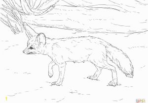 Fennec Fox Coloring Page Curious Fennec Fox Coloring Page