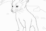 Fennec Fox Coloring Page Fennec Coloring Page