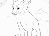 Fennec Fox Coloring Page Fennec Coloring Page