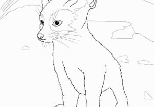 Fennec Fox Coloring Page Fennec Coloring Page