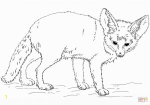 Fennec Fox Coloring Page Fennec Fox Coloring Page