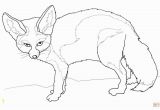 Fennec Fox Coloring Page Fennec Fox Coloring Page