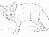 Fennec Fox Coloring Page Fennec Fox Coloring Page