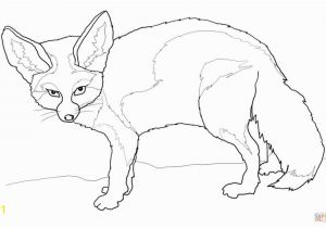 Fennec Fox Coloring Page Fennec Fox Coloring Page