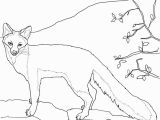 Fennec Fox Coloring Page Foxes Coloring Pages
