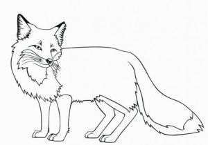 Fennec Fox Coloring Page Free Printable Fox Coloring Pages for Kids