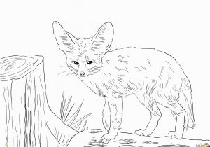 Fennec Fox Coloring Page north African Fennec Fox Coloring Page