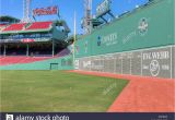 Fenway Park Green Monster Wall Mural Green Monster Stockfotos & Green Monster Bilder Alamy