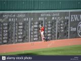 Fenway Park Green Monster Wall Mural Green Monster Stockfotos & Green Monster Bilder Alamy