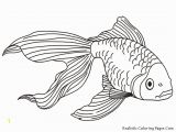 Fish Coloring Pages for Kids Tropical Fish Coloring Pages