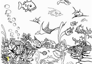 Fish Tank Coloring Page Fish Free Clipart 126