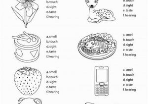 Five Senses Coloring Pages Free Five Senses Coloring Pages Beautiful Five Senses Coloring Pages Free