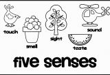 Five Senses Coloring Pages Free Unique 5 Senses Coloring Sheet Gallery