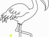 Flamingo Coloring Pages Pdf 14 Best Flamingo Coloring Page Images