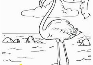 Flamingo Coloring Pages Pdf 14 Best Flamingo Coloring Page Images