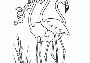 Flamingo Coloring Pages Pdf 251 Best Stuff I Love but Will Never Make Images