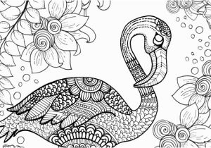 Flamingo Coloring Pages Pdf Free Flamingo Colouring Page for Adults