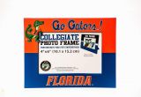 Florida Gators Coloring Pages Collegiate Pulse Florida Gators Ncaa Pvc Frame