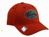 Florida Gators Coloring Pages National Cap Men S Champ Fashion Florida Gators Embroidered Cap