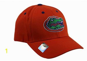 Florida Gators Coloring Pages National Cap Men S Champ Fashion Florida Gators Embroidered Cap