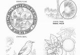 Florida State Bird Coloring Page Florida State Symbols Coloring Page From Florida Category Select