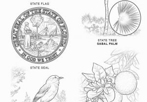 Florida State Bird Coloring Page Florida State Symbols Coloring Page From Florida Category Select