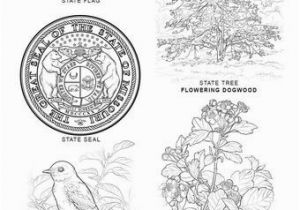 Florida State Bird Coloring Page Missouri State Symbols Coloring Page From Missouri Category Select
